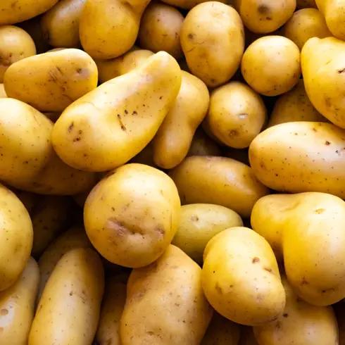 10+ Tasty Food Deals in Honor of National Potato Day