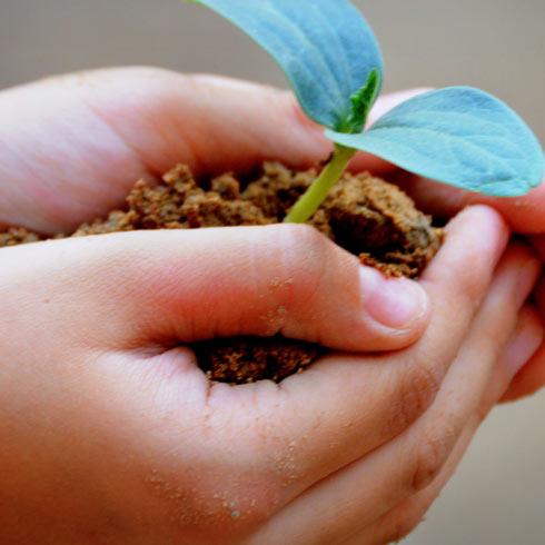 4  Ways to Save Energy & Money This Earth Day