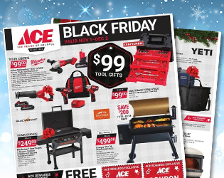 Ace Hardware