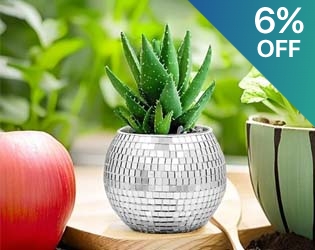 Disco Ball Planter