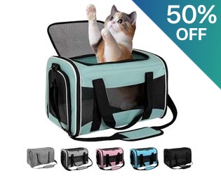 Padded Mesh Small Pet Carrier