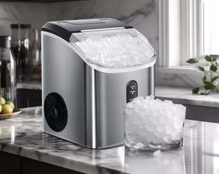 R.W. Flame Countertop Nugget Ice Maker