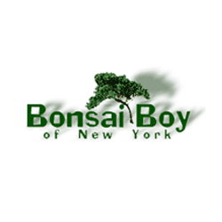 Bonsai Boy of New York