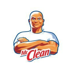 Mr. Clean Coupons - Top Offer: 5% Off