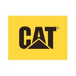 cat footwear coupons