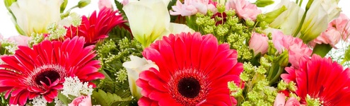 rolling hills flower mart discount code