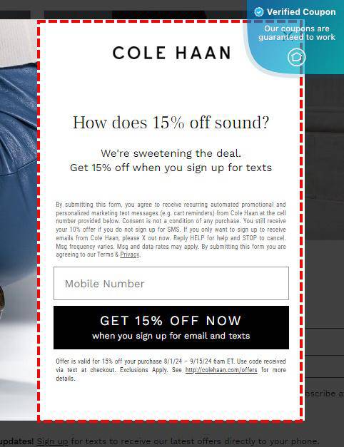 25% Off Cole Haan Coupons &amp; Promo Codes - March 2025
