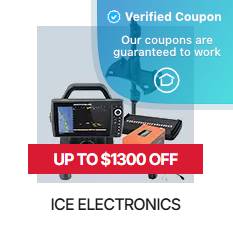 25% Off Scheels Coupons &amp; Coupon Codes - January 2025