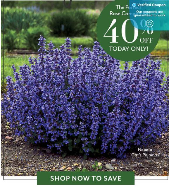 Jackson and Perkins Coupons & Promo Codes 25 Off