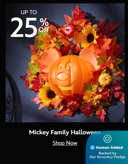 Screenshot for Disney Store offer #12842399